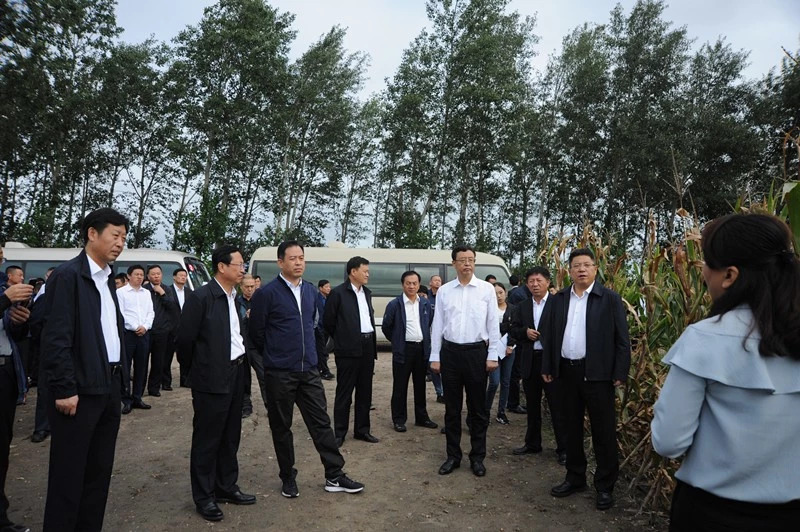 区长张伟代表洮北区在会上作了典型发言.