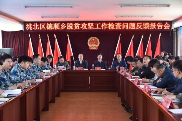 洮北区德顺蒙古族乡脱贫攻坚工作检查问题反馈报告会